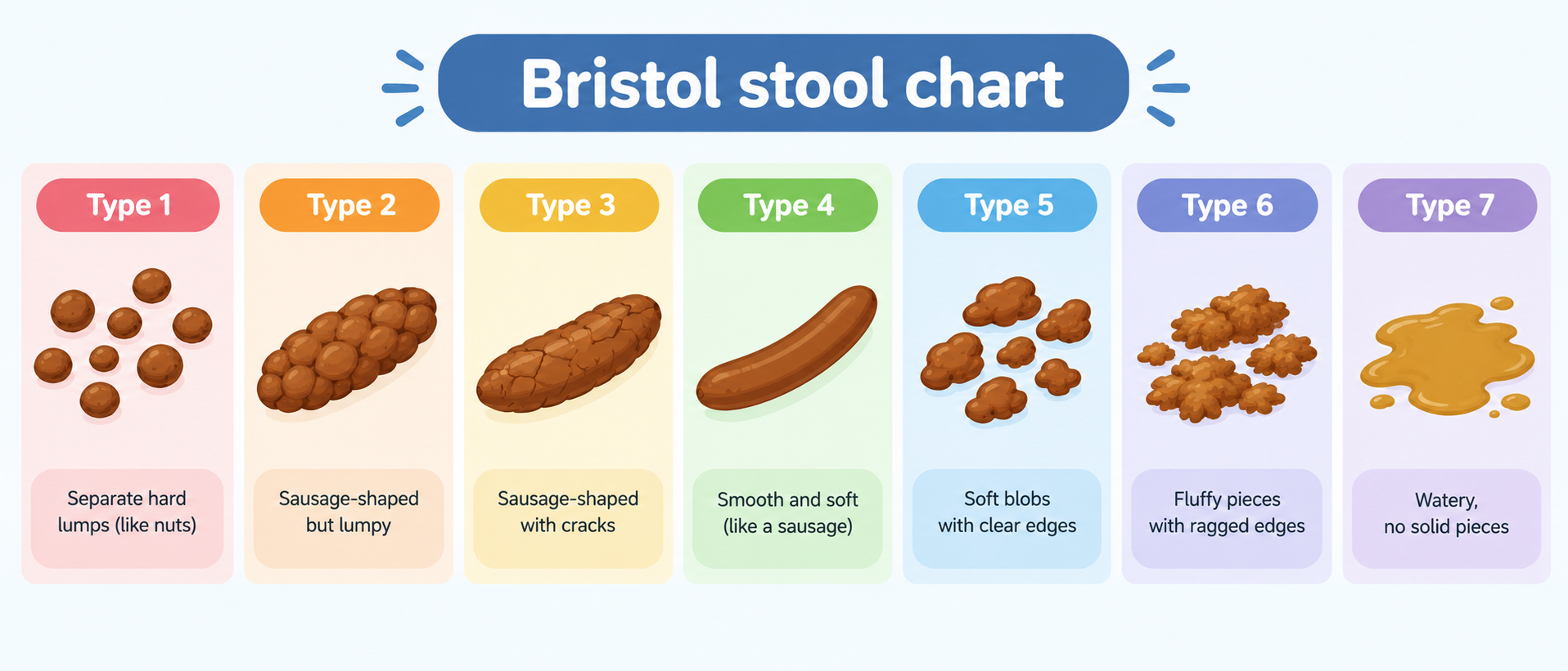 Bristol stool chart showing 7 types of poop
